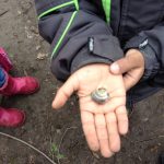 Students found this snail when we did a learning trail at the back of our school