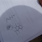 One child was excited to get paper and record his ant sighting up-close by drawing a picture and labelling it