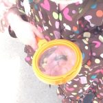 Our magnifying glasses allow students to get a closer look