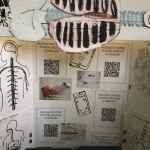 Check out this interactive bulletin board designed, programmed and created by students for students to learn about Human Organ Systems!  
How might technology, social and environmental factors affect human health?
How might understanding organ functions and their interrelationships to organ systems as components of a larger system (the body) impact the choices we make to our overall health?
